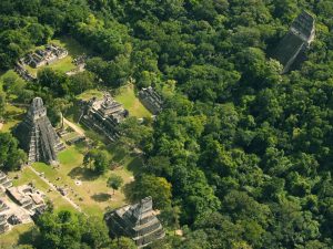 A cidade maia de Tikal estava rodeada de uma complexa rede de vias até então invisíveis| Foto: Wild Blue Media/Channel 4/National Geographic